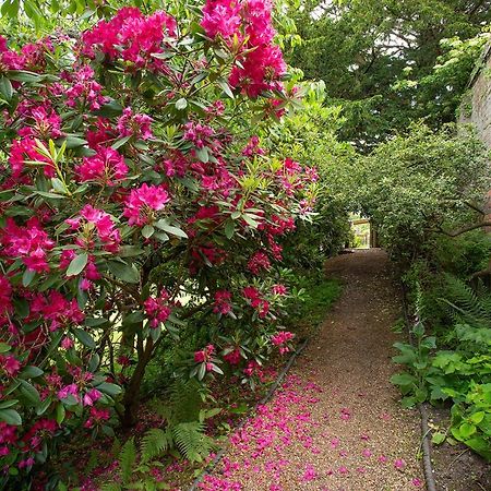 Boreham House Herstmonceux ภายนอก รูปภาพ