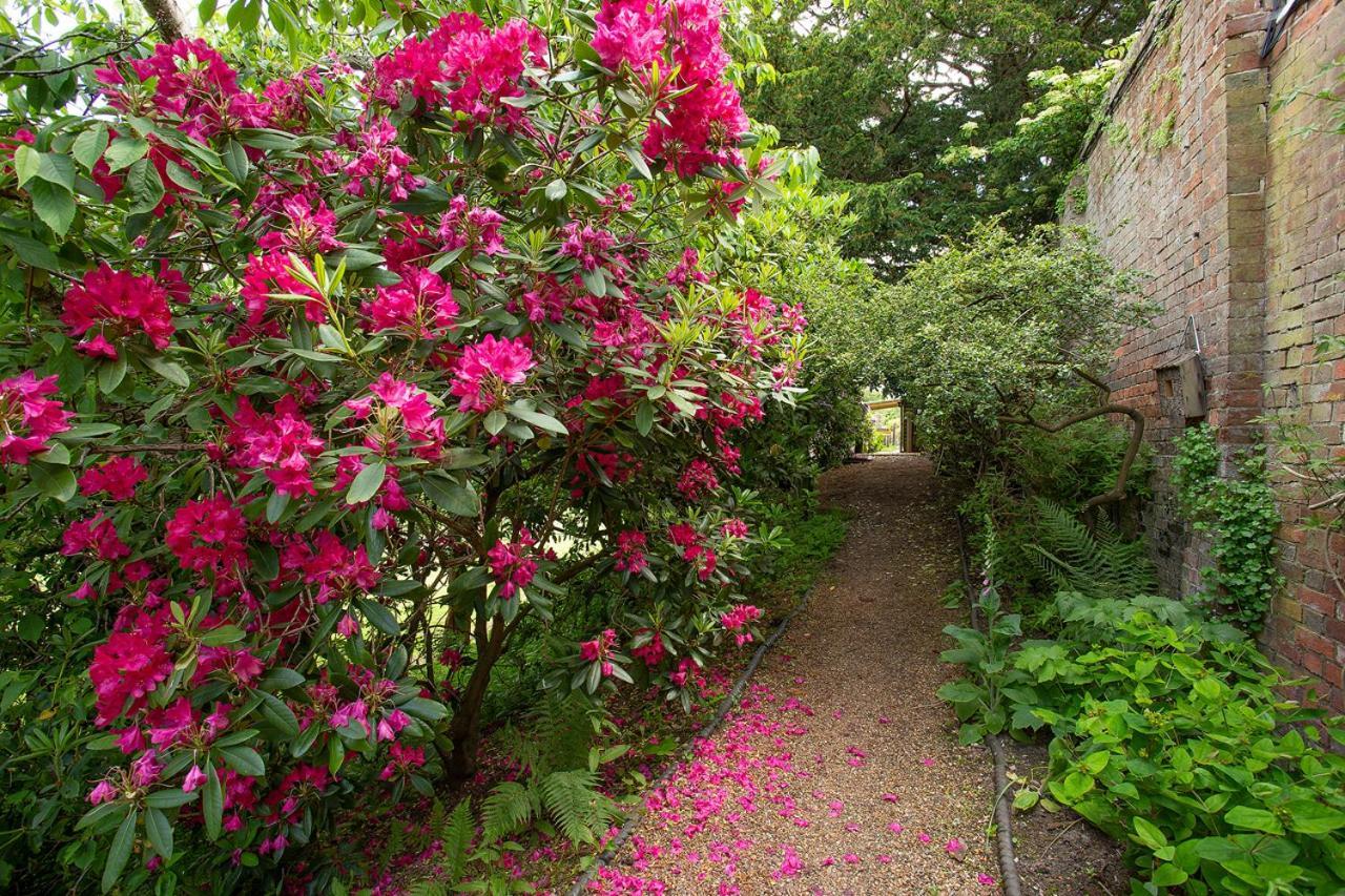 Boreham House Herstmonceux ภายนอก รูปภาพ