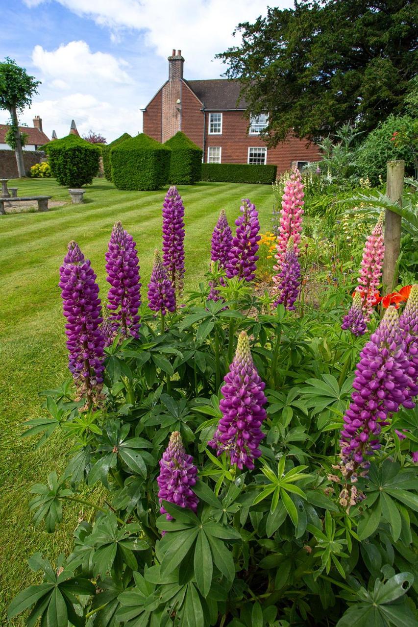 Boreham House Herstmonceux ภายนอก รูปภาพ