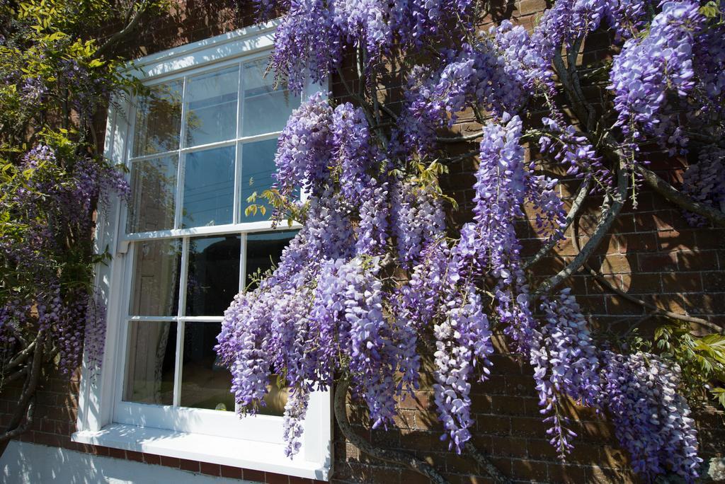 Boreham House Herstmonceux ภายนอก รูปภาพ